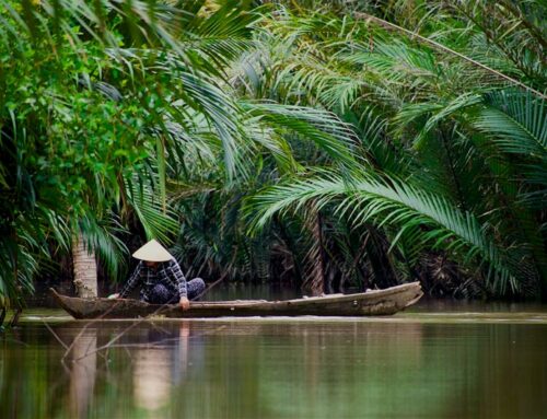 Vietnam Sunergy $41 million