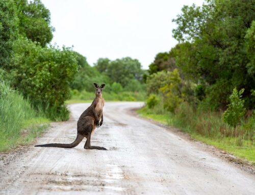 Microsoft $ 3,2 billion Australia