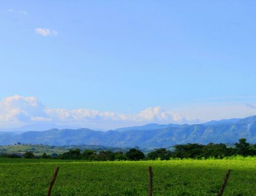 El Salvador $ 100 million